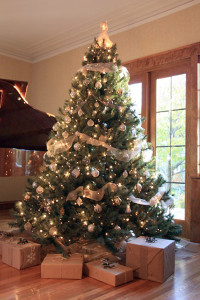 holiday tree, living room